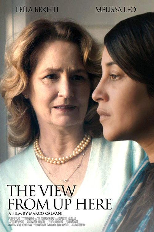 Постер фильма «The View from Up Here»