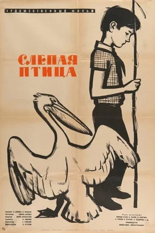 Постер фильма «Слепая птица»