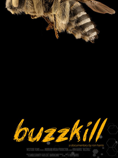 Постер фильма «Buzzkill»