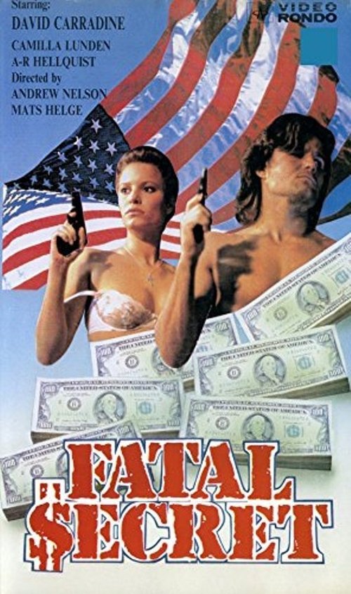 Постер фильма «Fatal Secret»