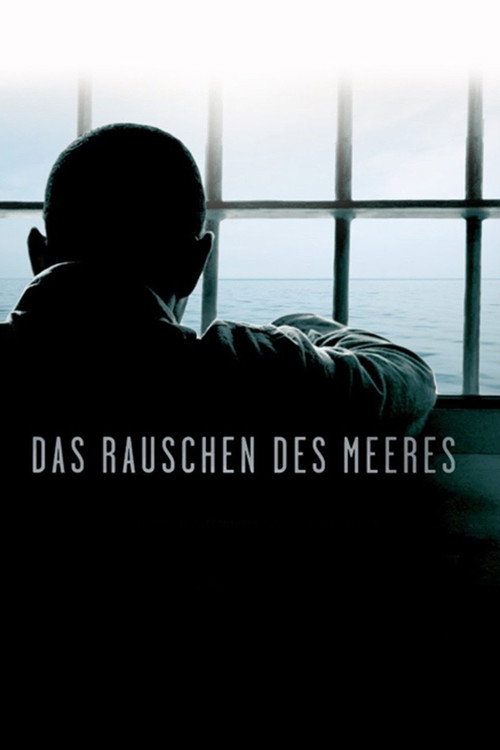 Постер фильма «Das Rauschen des Meeres»