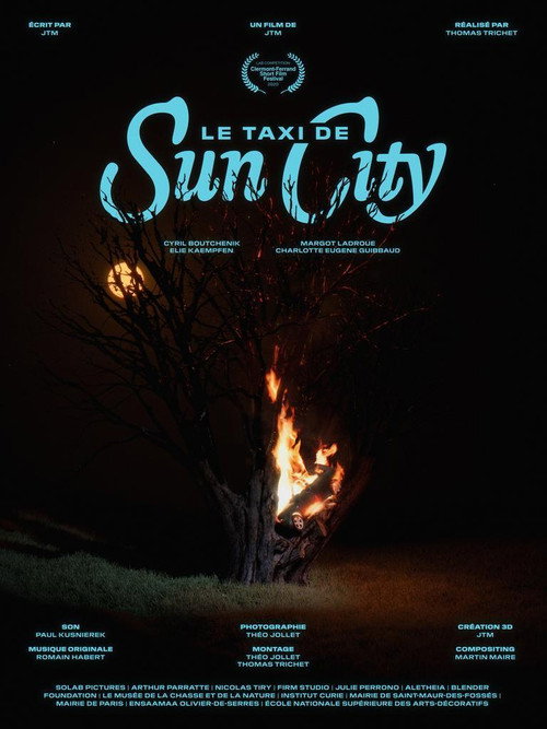 Постер фильма «Le taxi de Sun City»