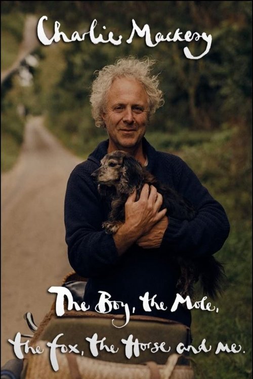 Постер фильма «Charlie Mackesy: The Boy, the Mole, the Fox, the Horse and Me»