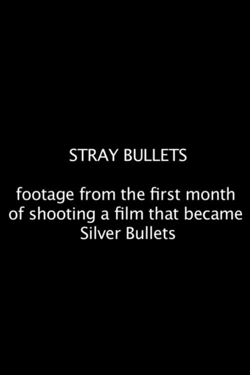 Постер фильма «Stray Bullets»