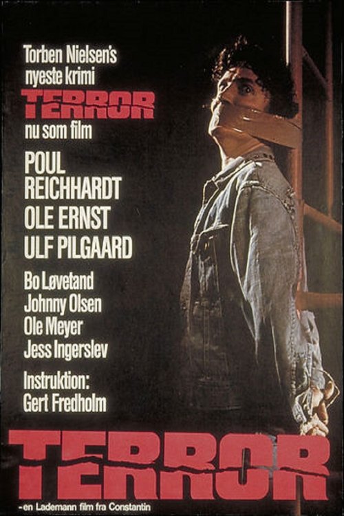 Постер фильма «Terror»