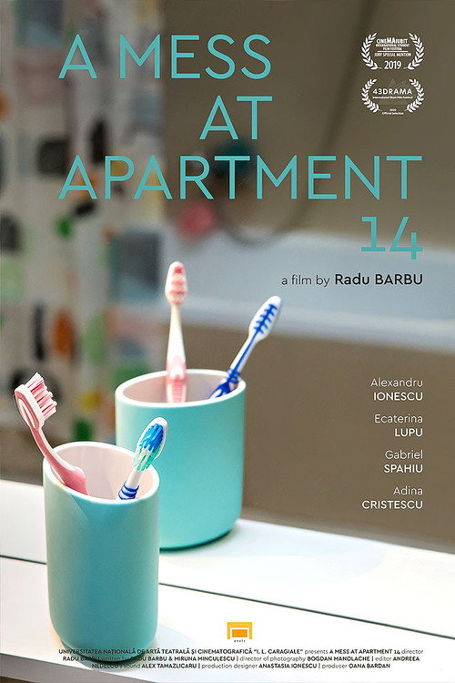 Постер фильма «Probleme la apartamentul 14»