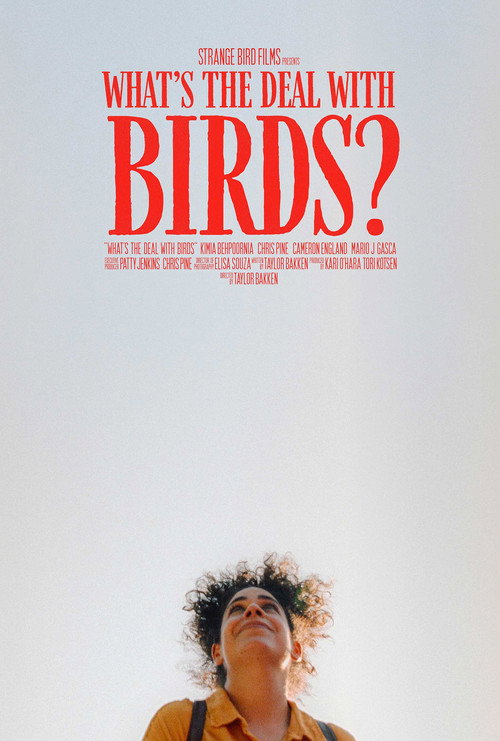 Постер фильма «What's The Deal With Birds?»