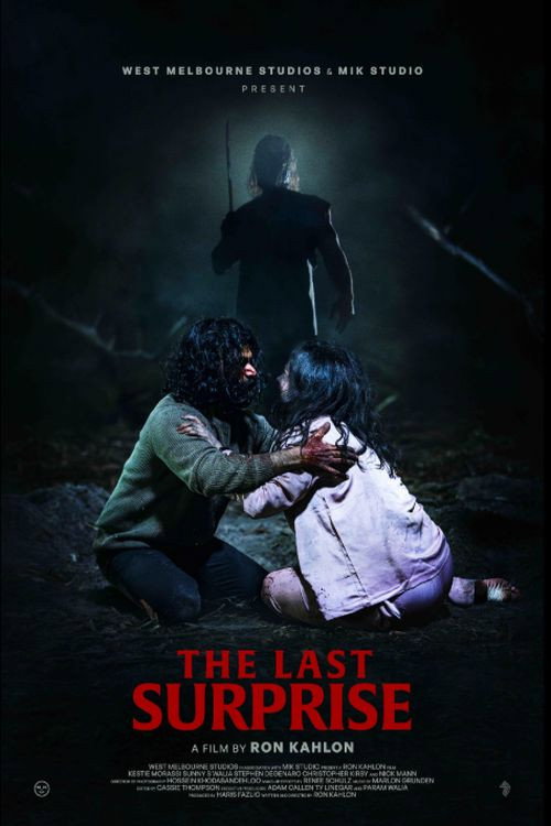 Постер фильма «The Last Surprise»
