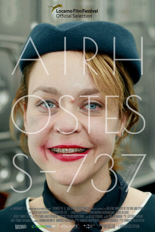 Постер фильма «AirHostess-737»
