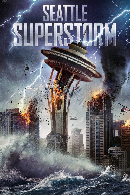 Постер фильма «Seattle Superstorm»