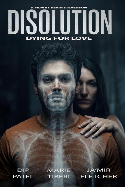 Постер фильма «Disolution»