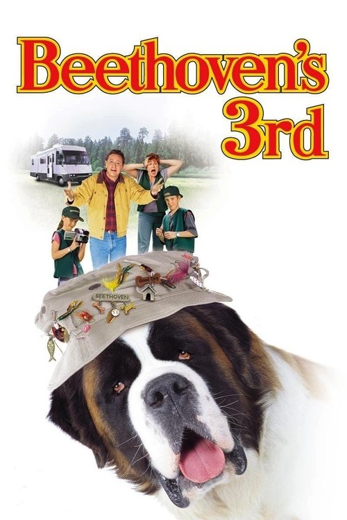 Постер фильма «Бетховен 3»