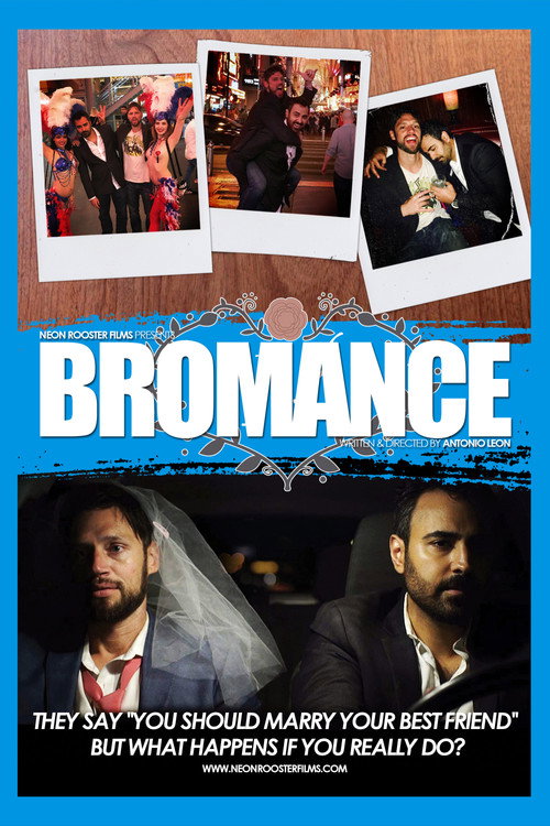 Постер фильма «Bromance»