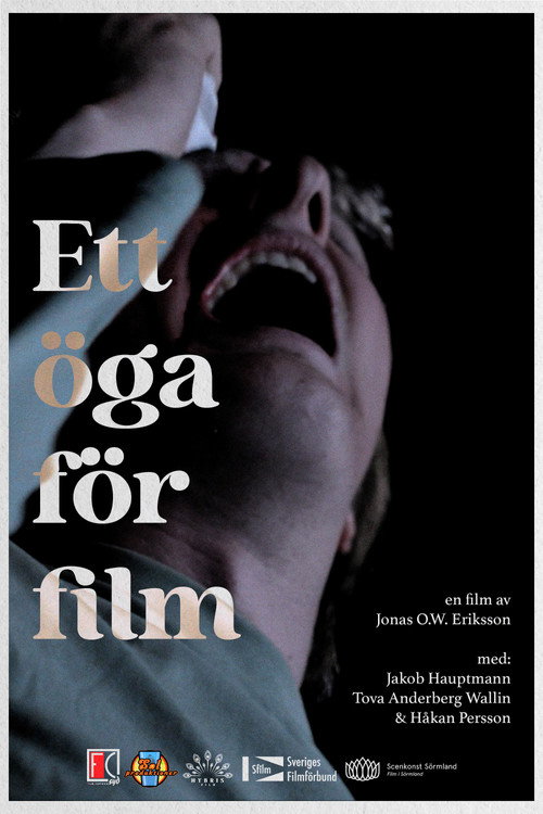 Постер фильма «Ett öga för film»