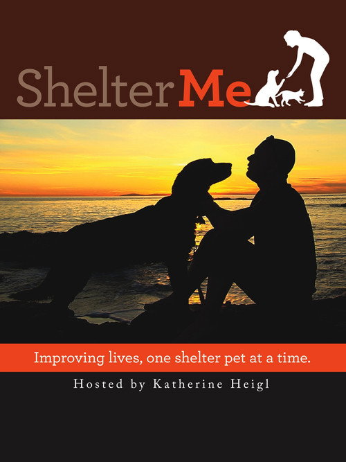 Постер фильма «Shelter Me»