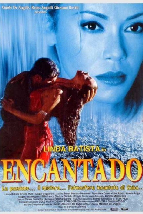 Постер фильма «Encantado»