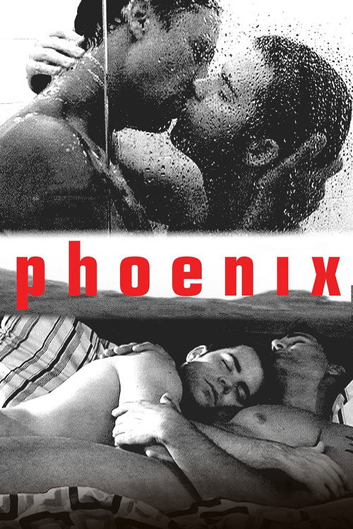 Постер фильма «Phoenix»