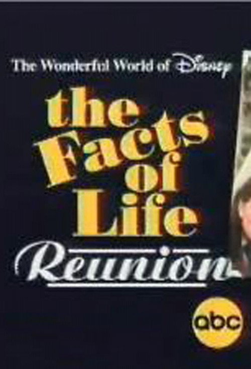 Постер фильма «The Facts of Life Reunion»