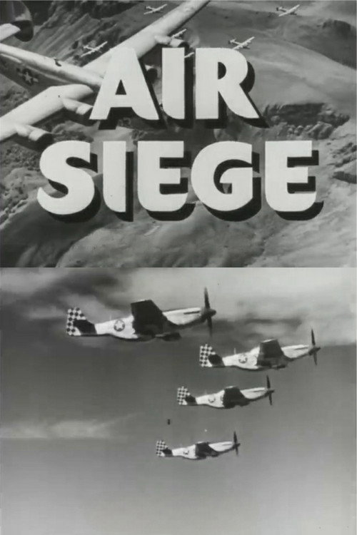 Постер фильма «Air Siege»