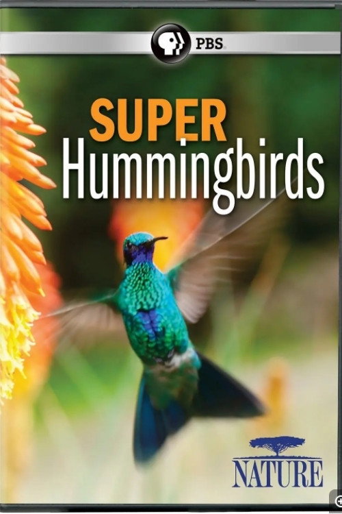 Постер фильма «Super Hummingbirds»