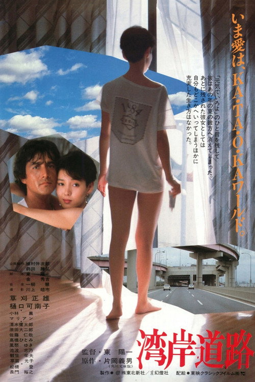 Постер фильма «湾岸道路»