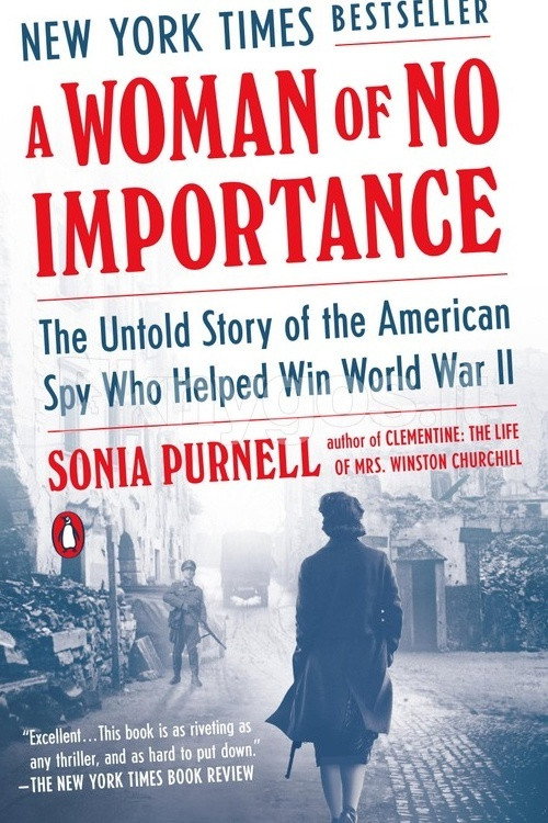 Постер фильма «A Woman of No Importance»