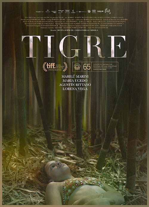 Постер фильма «Тигре»