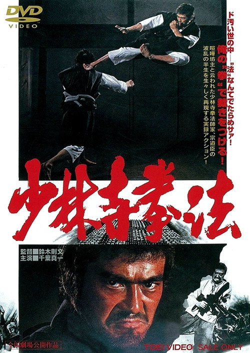 Постер фильма «少林寺拳法»