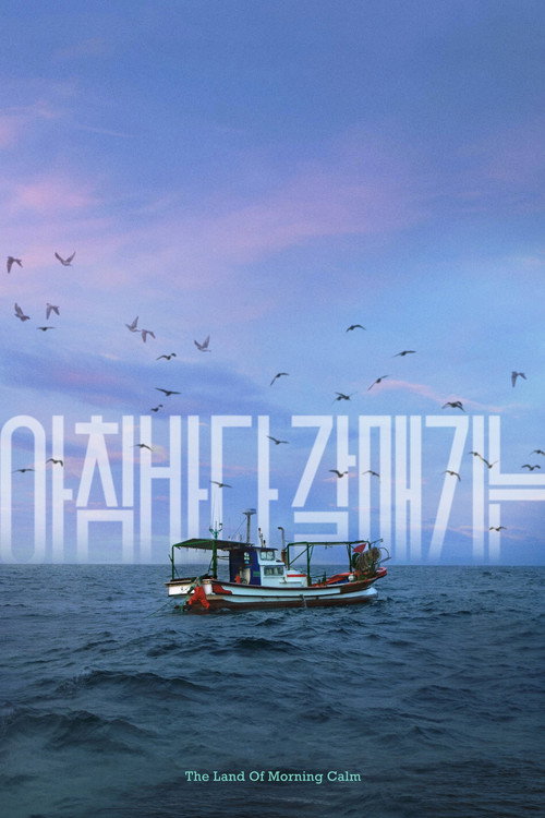 Постер фильма «아침바다 갈매기는»