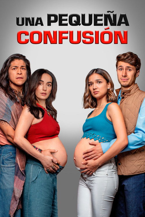 Постер фильма «Una pequeña confusión»