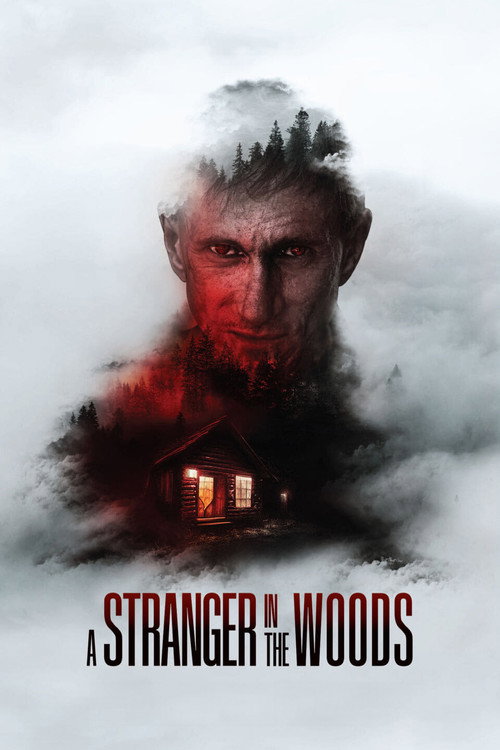 Постер фильма «A Stranger in the Woods»