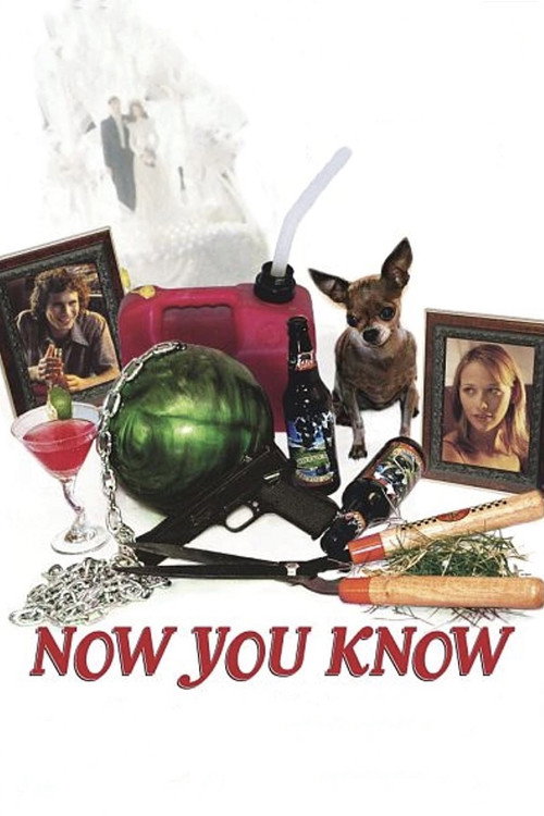 Постер фильма «Now You Know»