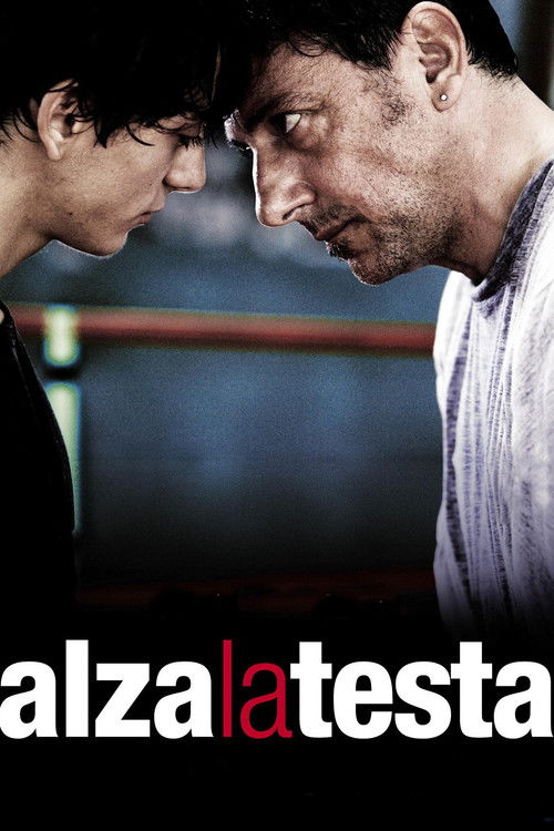 Постер фильма «Alza la testa»