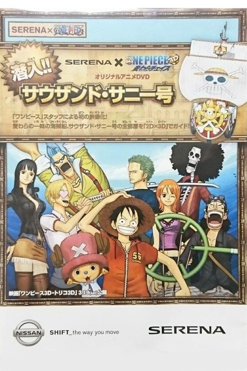 Постер фильма «SERENA×ONE PIECE 潜入!!サウザンド・サニー号»