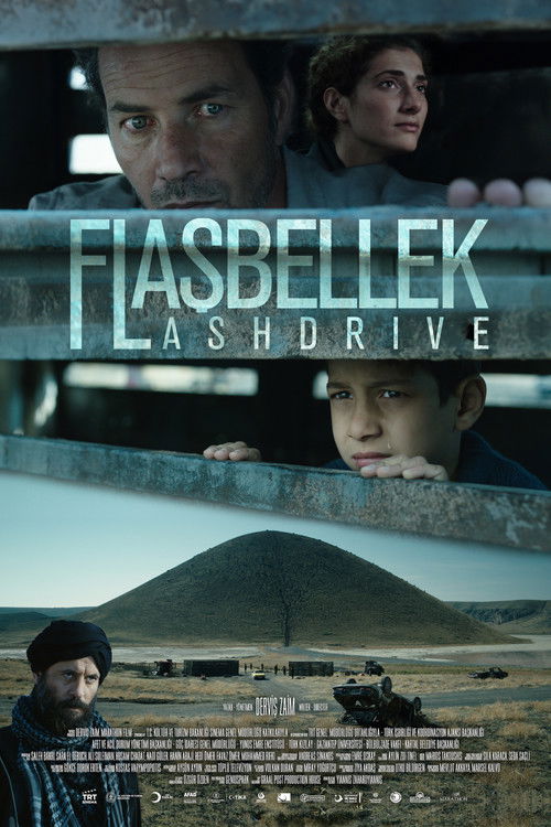Постер фильма «Flaşbellek»