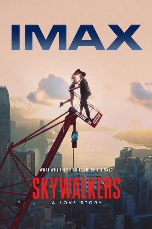 Постер фильма «Skywalkers: история одной пары»