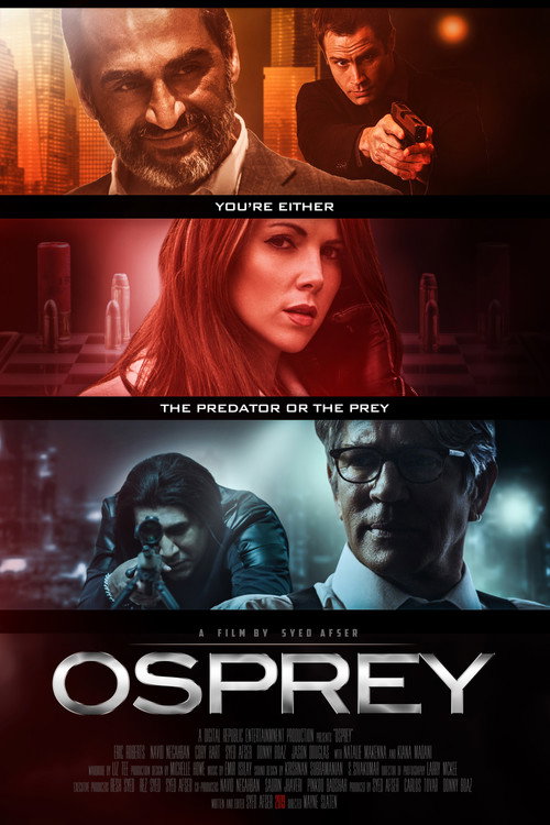 Постер фильма «Osprey»