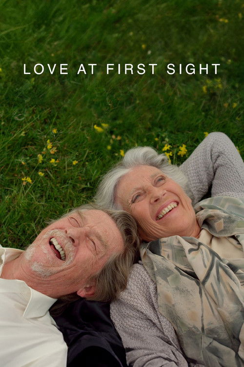 Постер фильма «Love at First Sight»