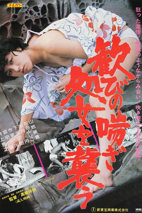 Постер фильма «歓びの喘ぎ　処女を襲う»
