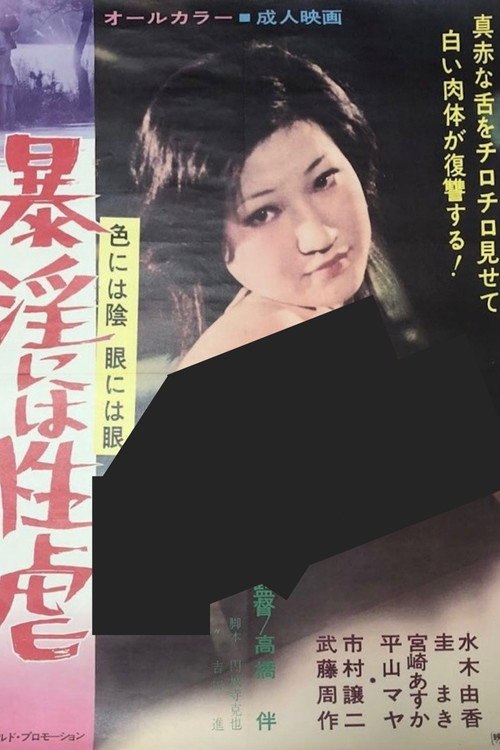 Постер фильма «色には陰 眼には眼 暴淫には性虐»