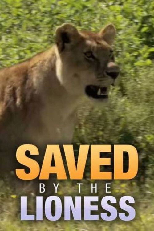 Постер фильма «Saved by the Lioness»