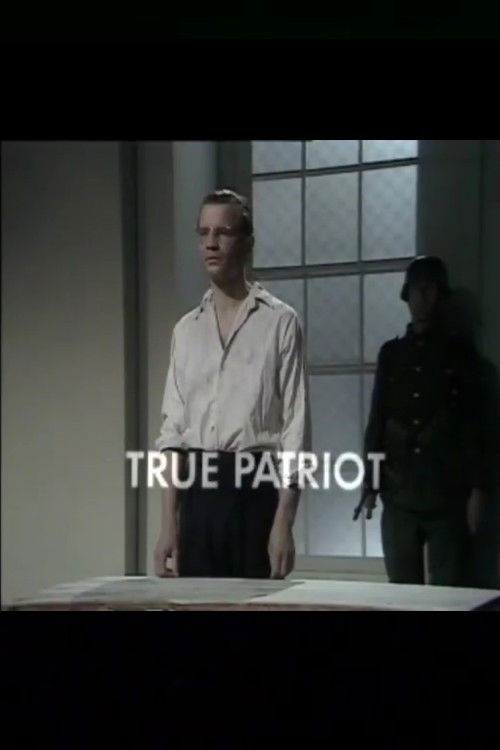 Постер фильма «True Patriot»