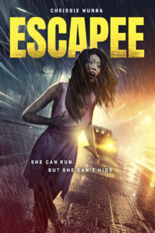 Постер фильма «Escapee»