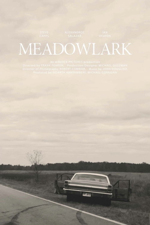 Постер фильма «Meadowlark»