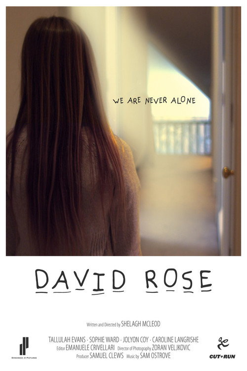 Постер фильма «David Rose»