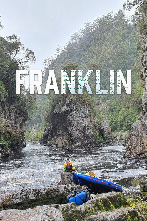 Постер фильма «Franklin»