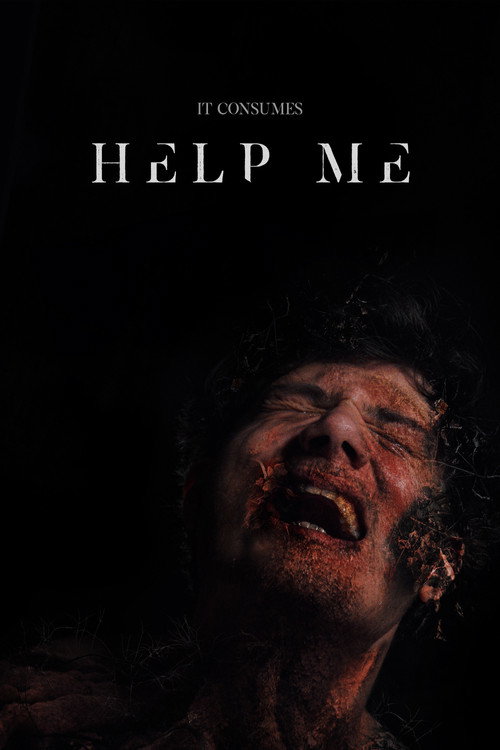 Постер фильма «Help Me»