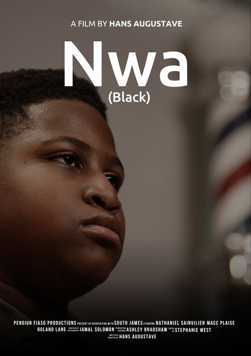 Постер фильма «Nwa (Black)»