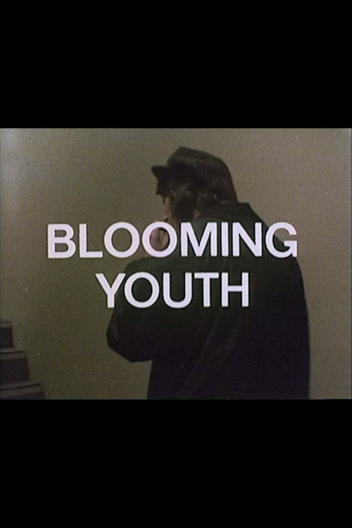 Постер фильма «Blooming Youth»