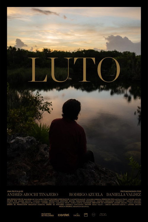 Постер фильма «Luto»